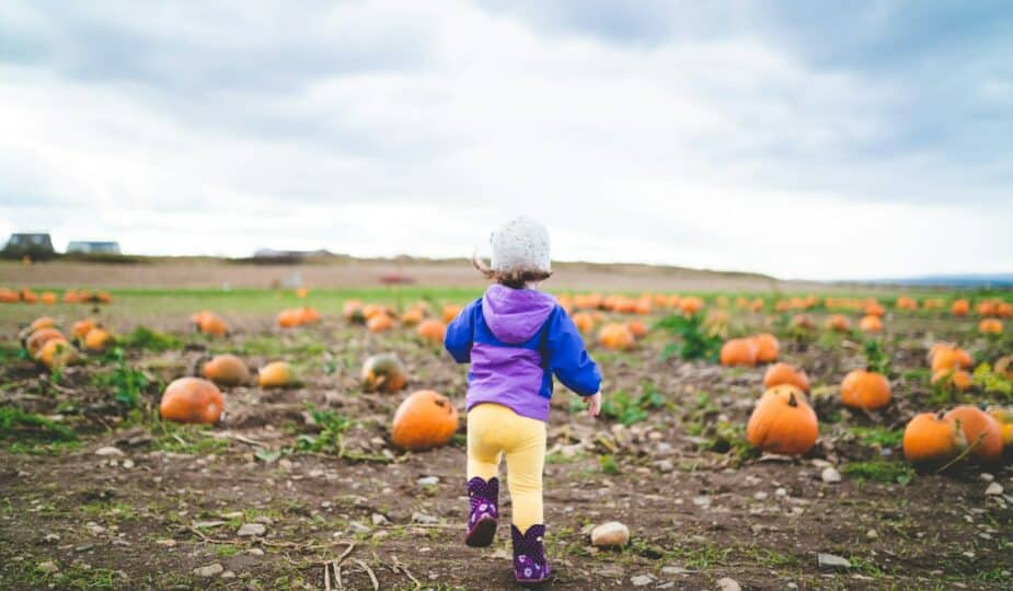 petits pots bébé légumes