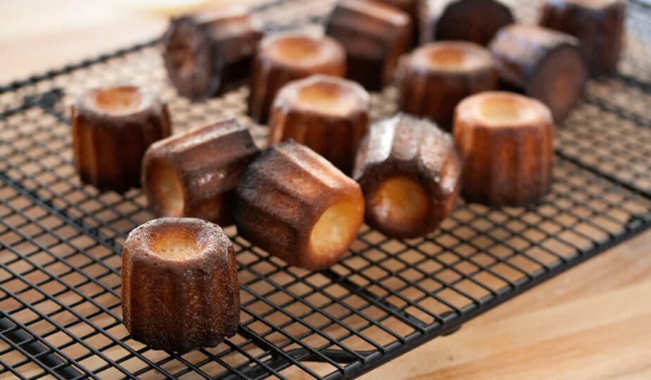 cannelés récolte saison